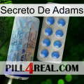 Adams Secret 39